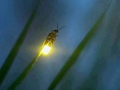 Reflecting on One’s Own Existence