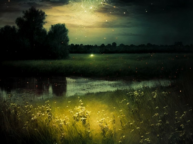 Guide for Religion Founders